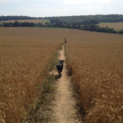 berkeleyraffer's profile picture. Connecting the dots