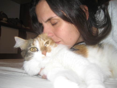 chrismbarreto's profile picture. 