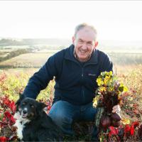 Joe Hartnett (@hartnett_joe) 's Twitter Profile