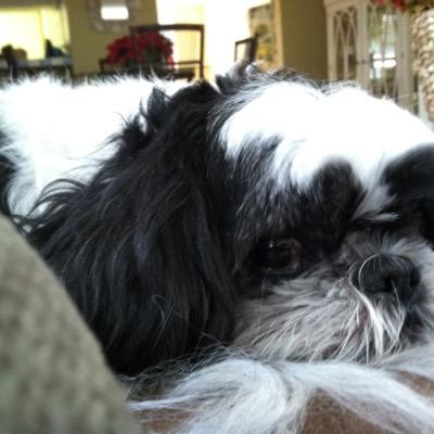 smith2_cindy's profile picture. 