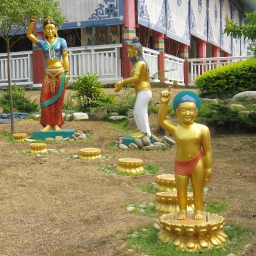 tanoshim's profile picture. 旅行大好き。音楽も好き。何時でも旅行できるようになる為に2013/12株を始める。好きな事をするっつーのは良いこと。