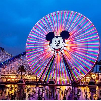 11mamabear11's profile picture. 