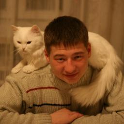 taras391's profile picture. 