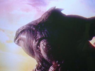 xxxsalad's profile picture. 復活しました。