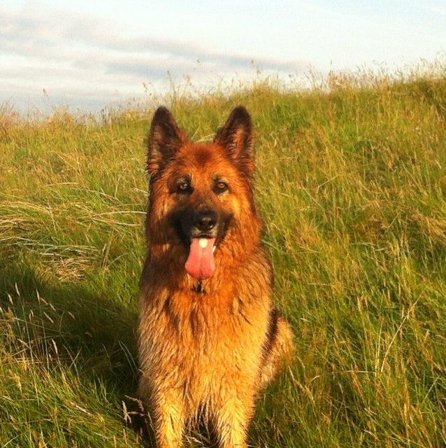 Derekpar's profile picture. all views are my own