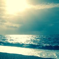 Kathryn MacPherson (@ninamacphee) 's Twitter Profile Photo