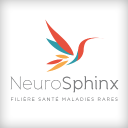 NeuroSphinx