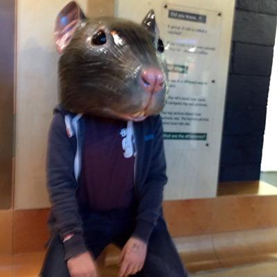 Contract web developer. Specialises in PHP, HTML, CSS, JS, all the web things. Football fan. Loves YouTube videos of cats.