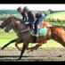 Tom Greatrex (@greatrex77) Twitter profile photo