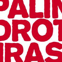 Palindrotiras (@palindrotiras) 's Twitter Profile Photo