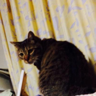 cudh2's profile picture. 