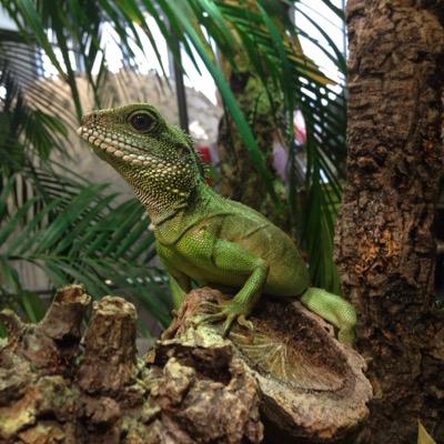 AnaPasz's profile picture. 