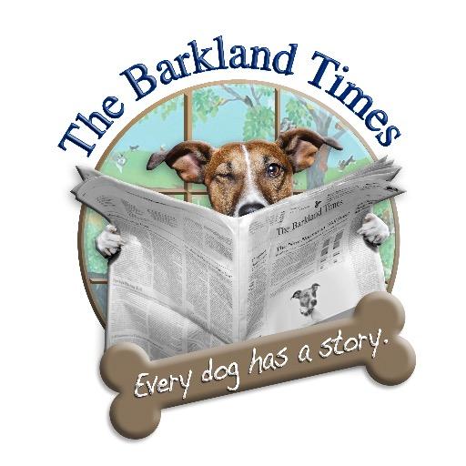 News blog and social media network connecting dog lovers in Coral Springs, Parkland, Boca Raton and Coconut Creek. Every dog has a story. Tell us yours.