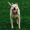 Ted Wynn - @ted_wynn - Twitter