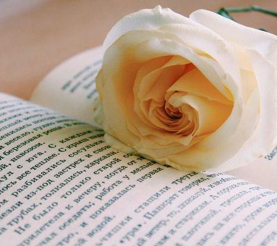 PrettyHipster1's profile picture. funny,positive,hipster, and the most awesome girl you will ever meet oh im also very clam