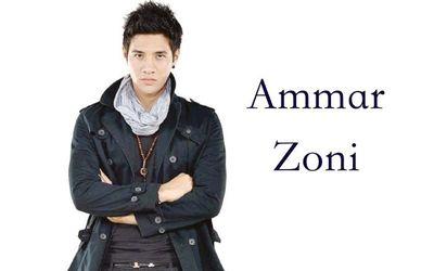 Official AMMARZONI