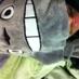 I'm a Totoro (@doctorjohn973) Twitter profile photo I'm a Totoro (@doctorjohn973) Twitter profile photo