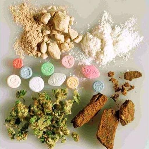 wellnes group preventing people from doing illegal drugs!!
