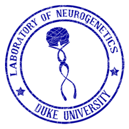 The Laboratory of NeuroGenetics is a Psych & Neuro lab at Duke University working to identify mechanisms behind differences in genes, brain, and behavior.