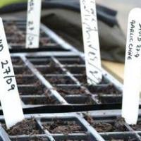 EC Community Gardens (@eccommunitygrow) 's Twitter Profile