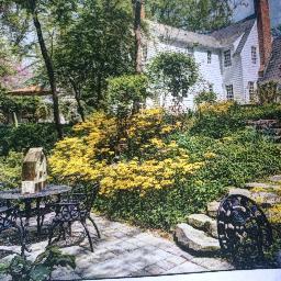 LibertyRoseBnB's profile picture. 