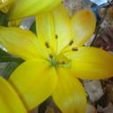 Maria Isabel Lopez (@0672ef59717e4cd) Twitter