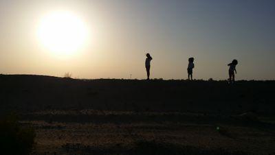 alawi_alsaqqaf's profile picture. 