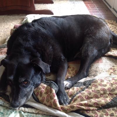 cotcat's profile picture. Lovin life and the people I meet!