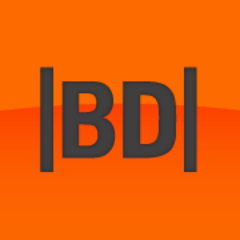 Bank Director Profile