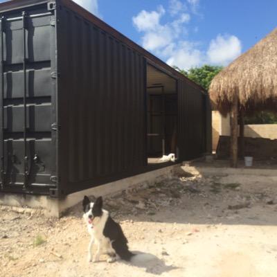 Wilkkill's profile picture. 