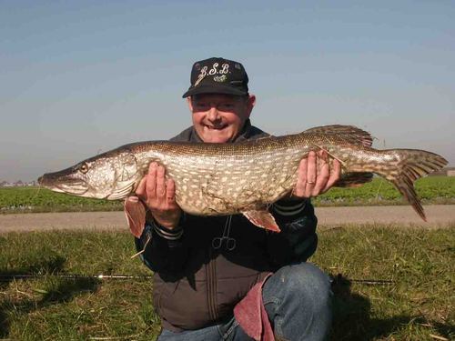 snoekbokaal's profile picture. Auctioneer Royal Floraholland Baseball/Softball player coach
KLANKSCHALEN MASSEUR!!  getrouwd 4 KIDS 3 KLEINKINDEREN . Geniet nu, je kunt het nooit eerder doen!