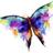 Butterfly_Wraps's avatar