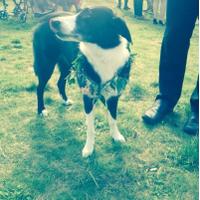 polly louise black (@pollylouiseblac) 's Twitter Profile Photo