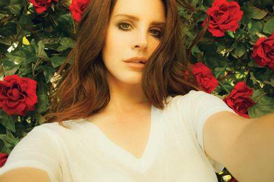 SameLanaPhoto's profile picture. we basically do nothing but tweeting the same lana photo