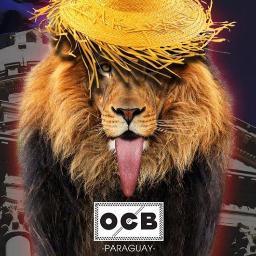 OCBParaguay's profile picture. El papel sin fronteras!.😜