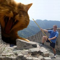 Wᴮoͬlͤmͭaͭrans (@bwolmarans) 's Twitter Profile