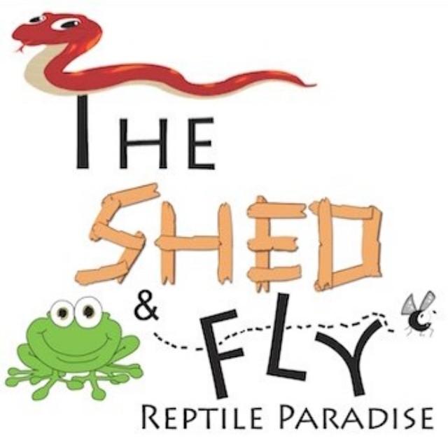 The Shed and Fly