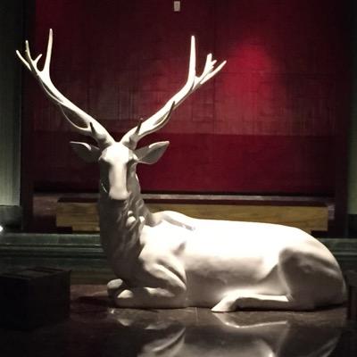 Salsacondry's profile picture. 