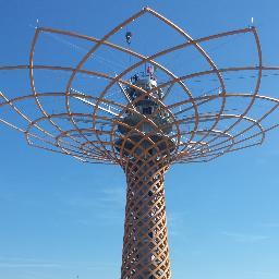 The official account of #alberodellavita #treeoflife, the icon of #Expo2015,