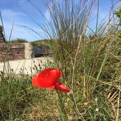 HWimde's profile picture. 