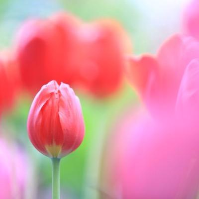 deko3155's profile picture. 