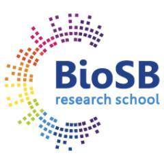 The BioSB research school offers a vibrant environment for the scientific development of, and the education in integrative bioinformatics and systems biology.