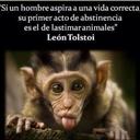 Fernando Cardenas (@0108a0fb8c7441b) Twitter