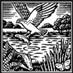 Suffolk Biodiversity (@suffolkbiod) Twitter profile photo Suffolk Biodiversity (@suffolkbiod) Twitter profile photo