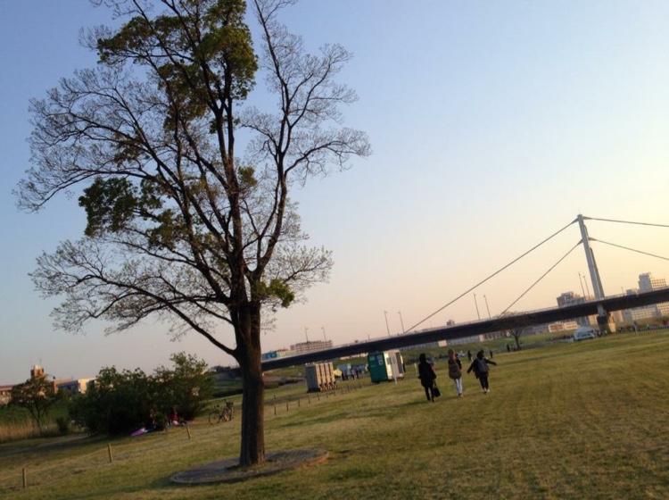 manamana1985's profile picture. 