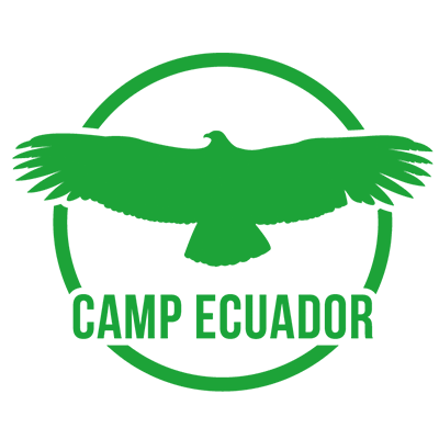 Community based camps, volunteer and enviromental project work- Branch of Camps International in Latin America