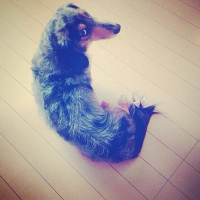 おおさわさんのプロフィール画像