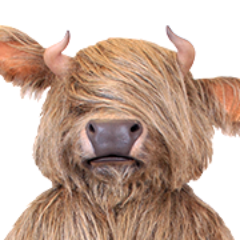 Suivez toutes les aventures de Hairy sur le compte Twitter officiel de Slow Cow France #DrinkCool
