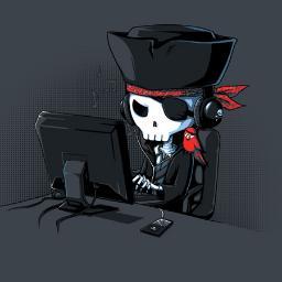 Resultado de imagen de pirata de web