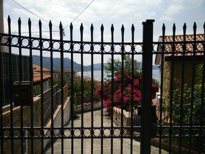 maellat's profile picture. 